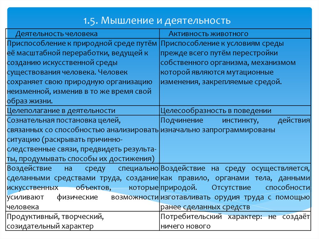 План деятельность человека