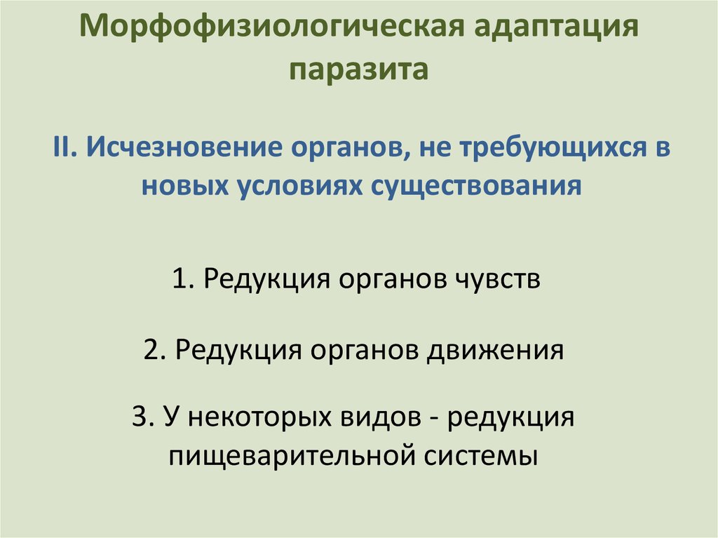 Адаптации паразитических червей