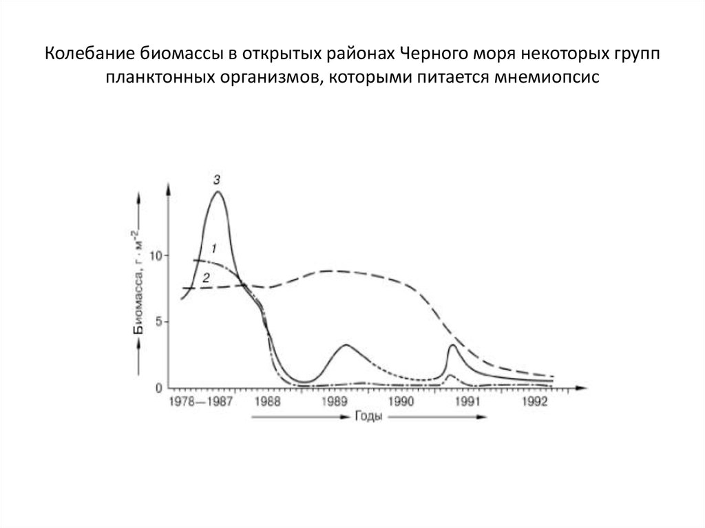 Колебания численности популяции презентация