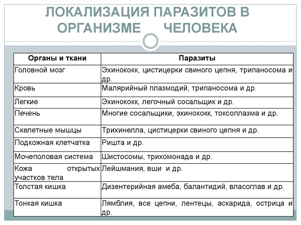 Паразиты В Организме Человека Фото