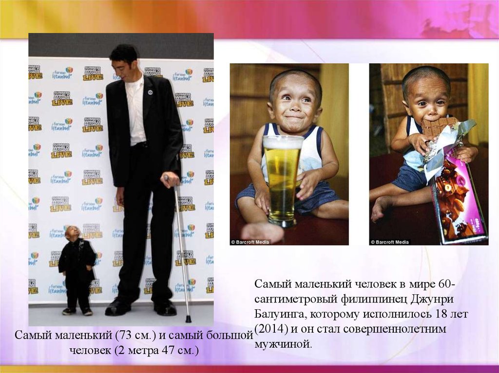 Рост самого маленького человека. Самый маленький и самый большой человек в мире. Самый мелкий человек в мире. Джунри Балуинг.