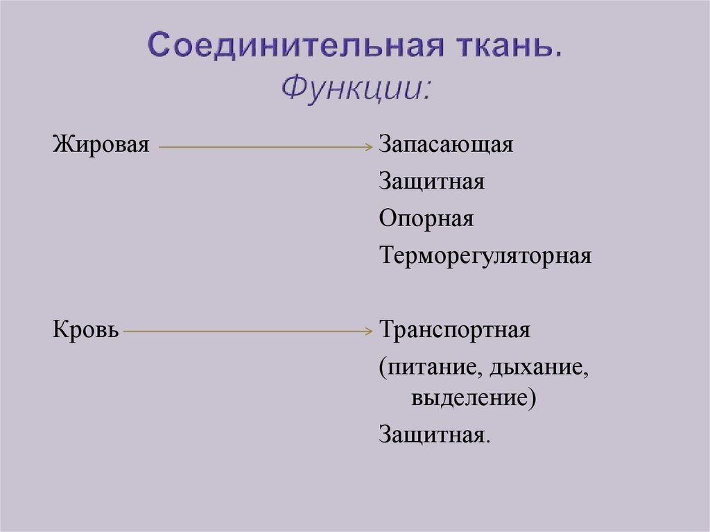 Транспортную функцию выполняет