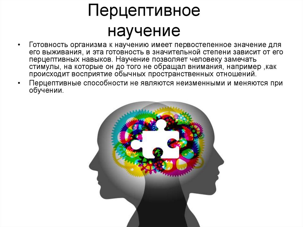 Какой тип людей воспринимает информацию в виде ярких картин зрительных образов