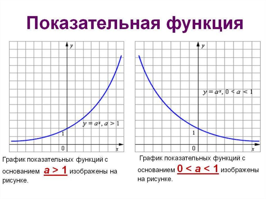 Свойства графика показательная. График показательной функции. Графики показательных функций. Функции показательной функции. Экспоненциальная функция и показательная функция.