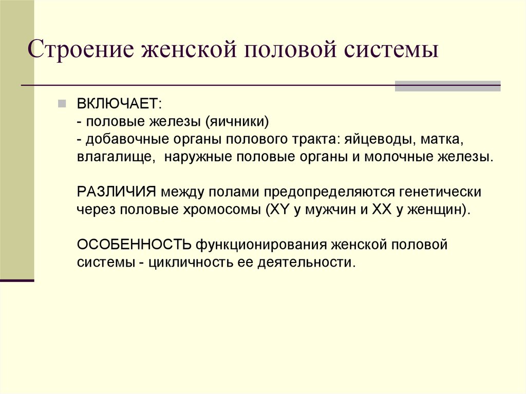 Строение женских половы. Строение женской консультации. Женская половая система реферат. Добавочные органы мужского полового тракта. Структура женского романа.