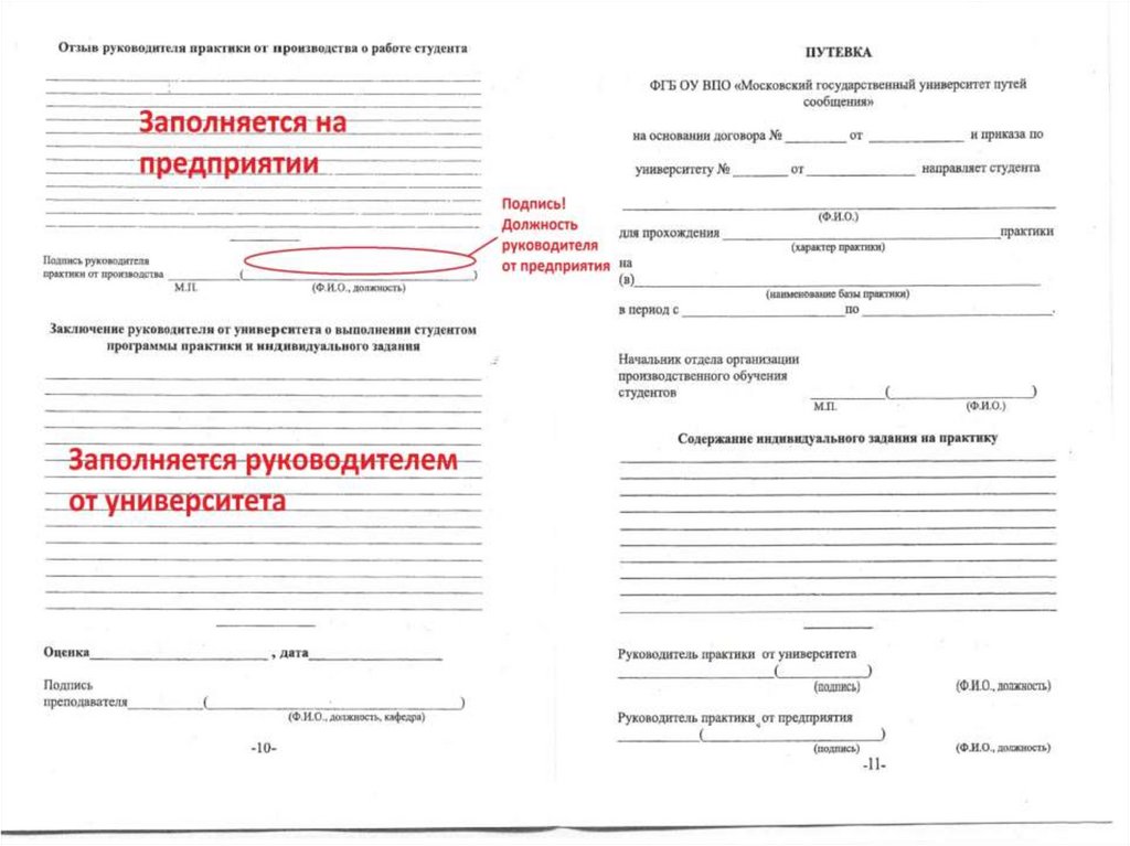 Пройти государственную практику. Путевка для прохождения производственной практики. Как заполнять направление на практику студента.