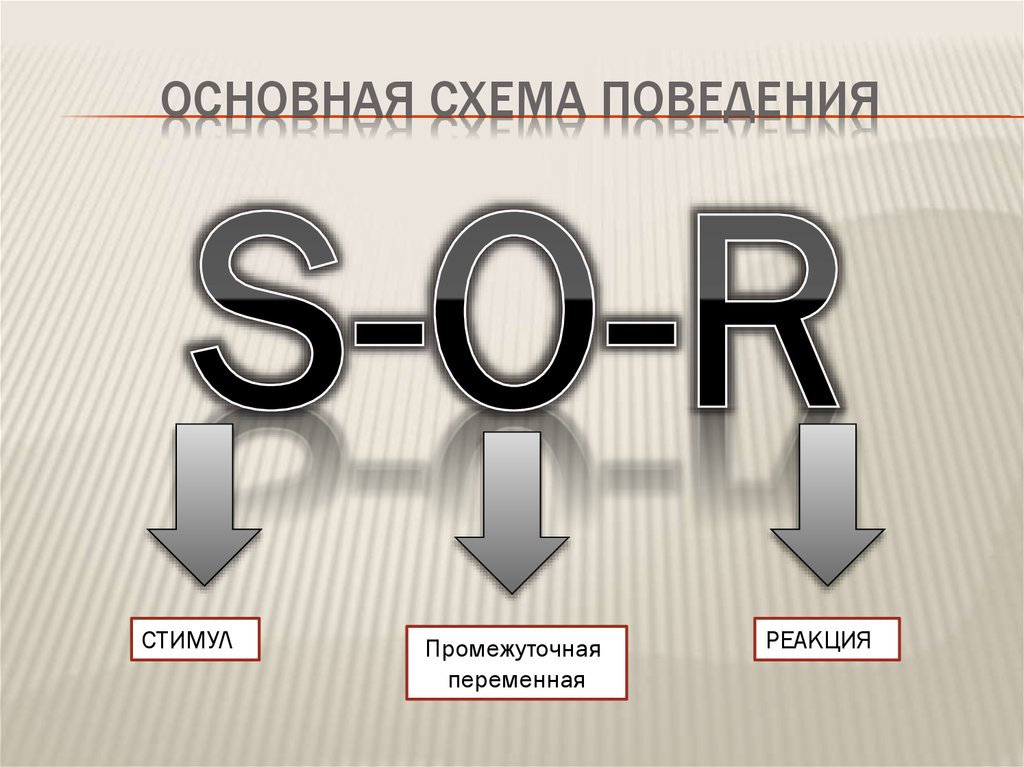 Картинка стимул реакция