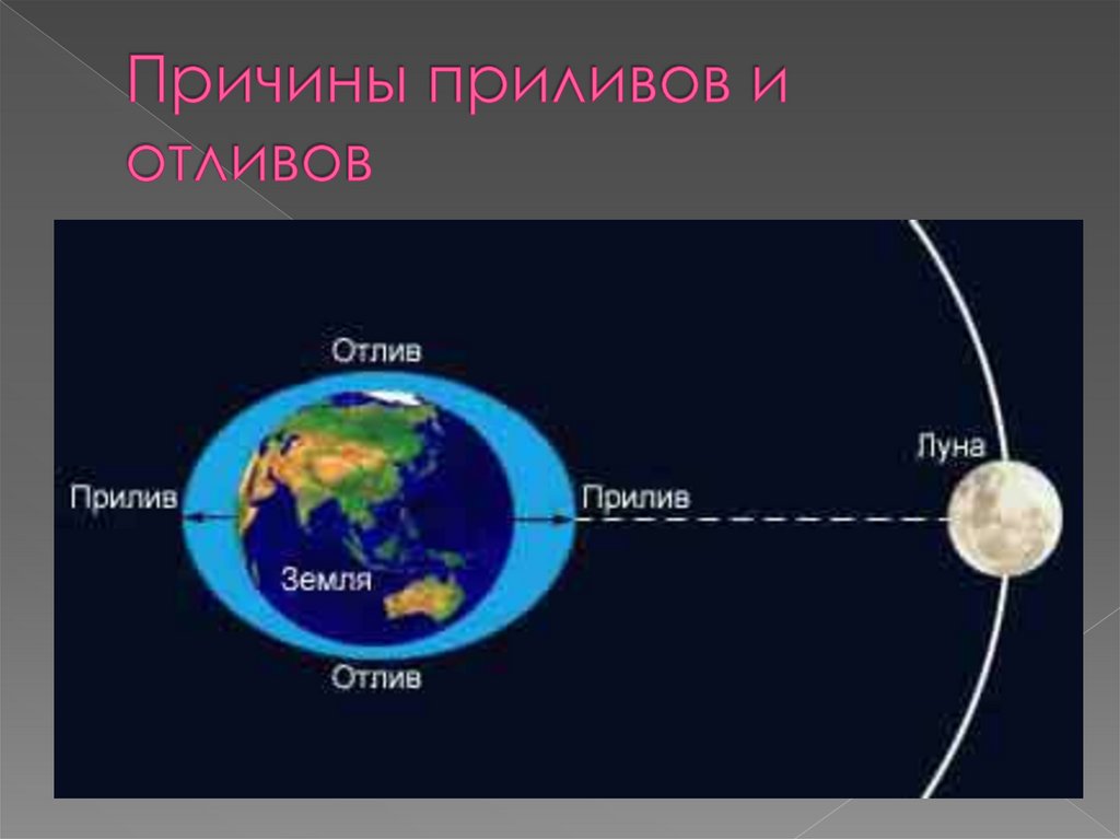 Каковы причины образования приливов и отливов