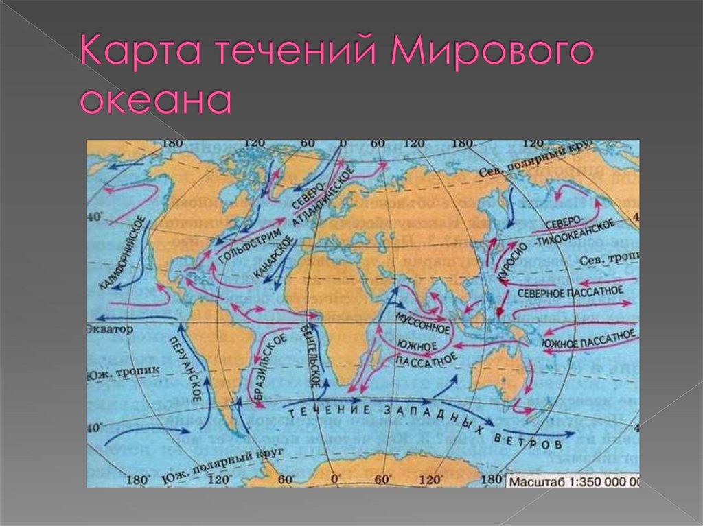 Карта течений Мирового океана