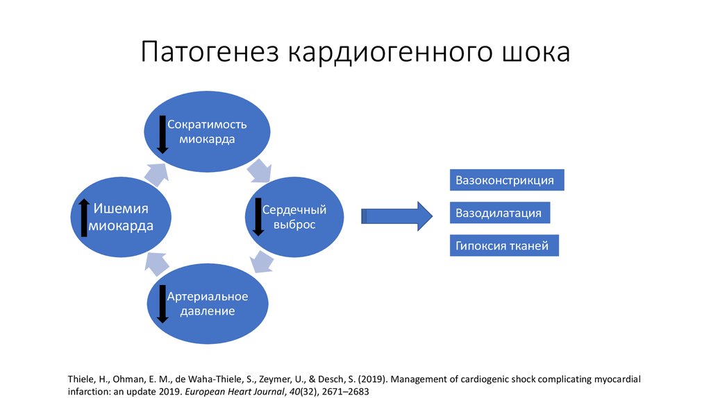 Схема патогенеза кардиогенного шока