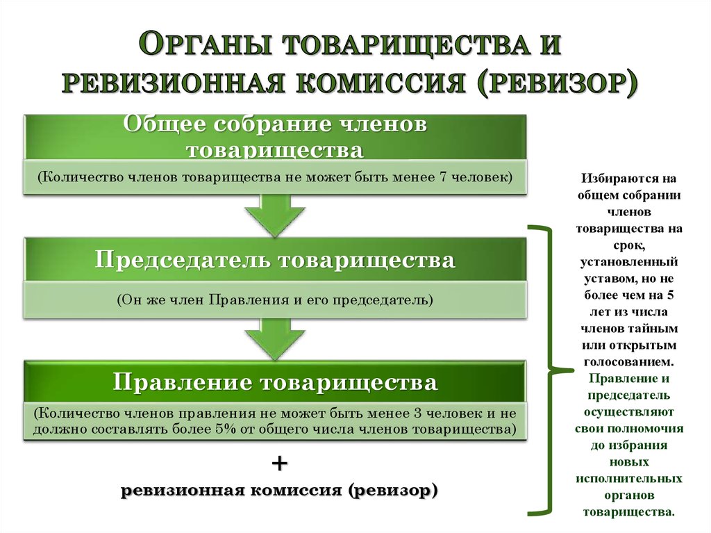 Исполнительный орган юридического. Органы управления товарищества. Органы товарищества и ревизионная комиссия (Ревизор). Исполнительный орган товарищества. Органы управления хозяйственного товарищества.