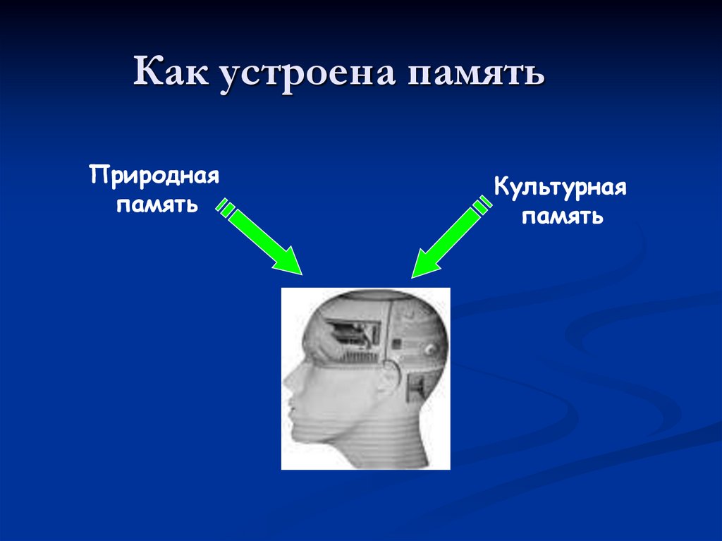 Проект по теме память