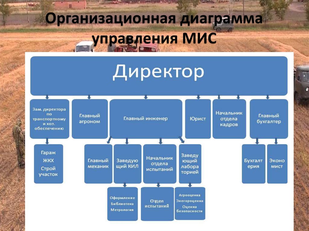 Организационная диаграмма онлайн