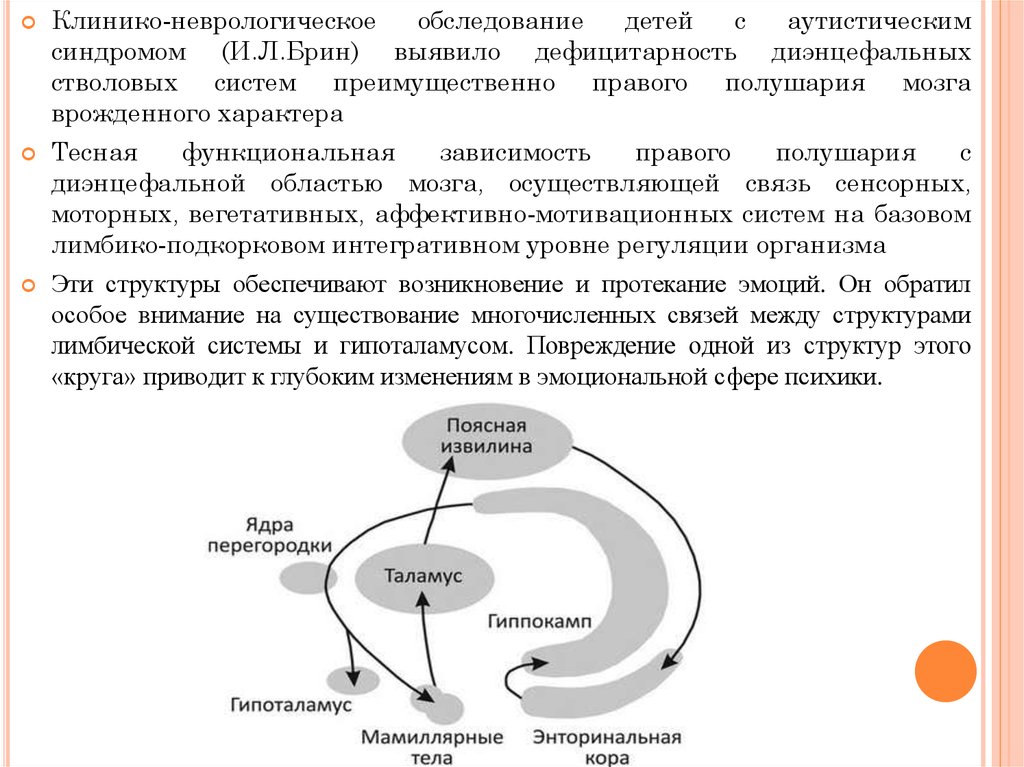 Брин в б физиология человека в схемах и таблицах