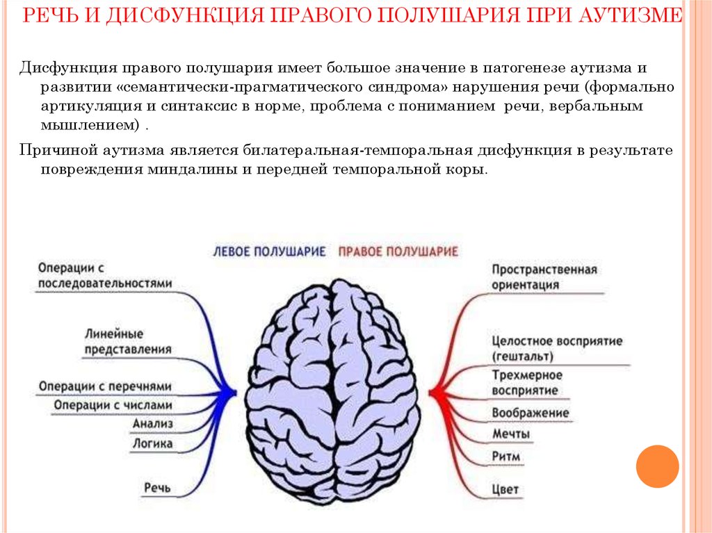 Поражение левого полушария мозга. Особенности правого и левого полушария. Дисфункция правого полушария. Поражение правого полушария. Речевые нарушения при аутизме.