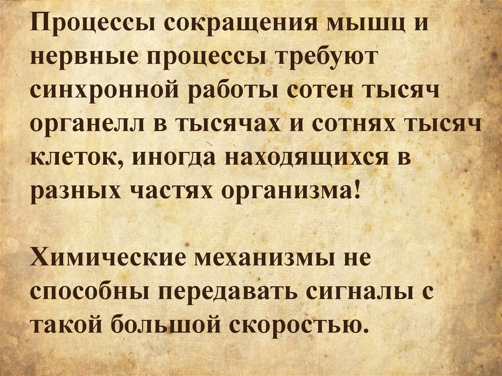 Процессы сокращения мышц и нервные процессы требуют синхронной работы сотен тысяч органелл в тысячах и сотнях тысяч клеток,
