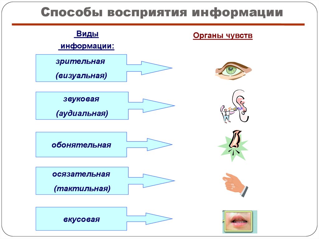 Источники информации о личности