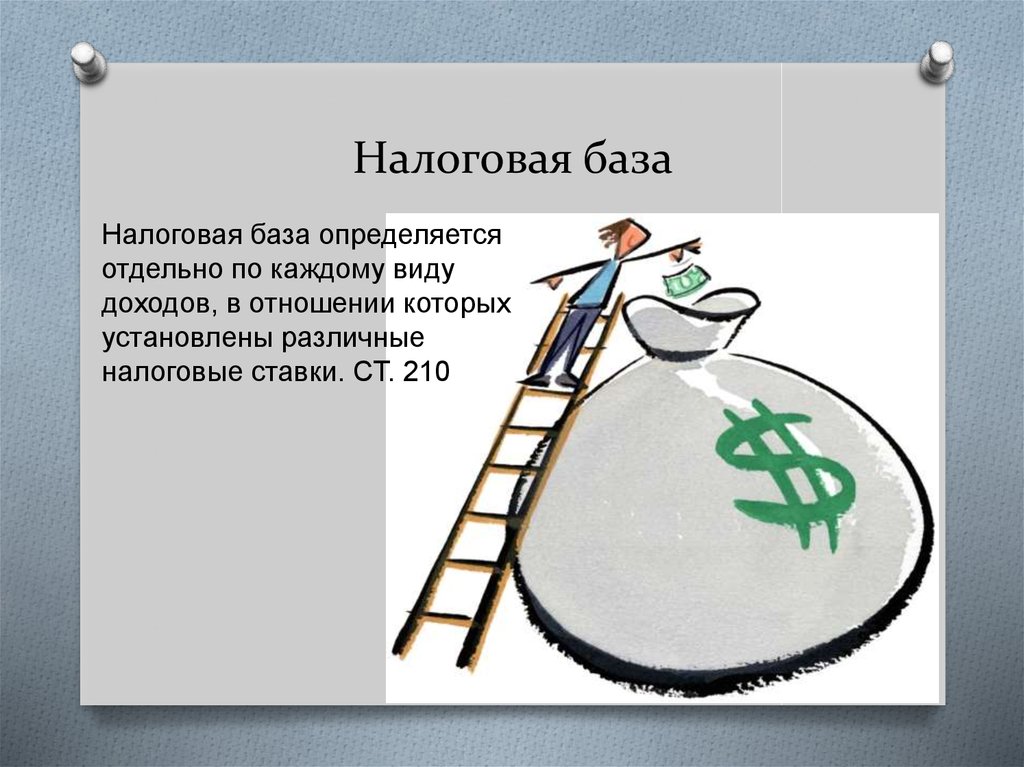 Налоговая база 010