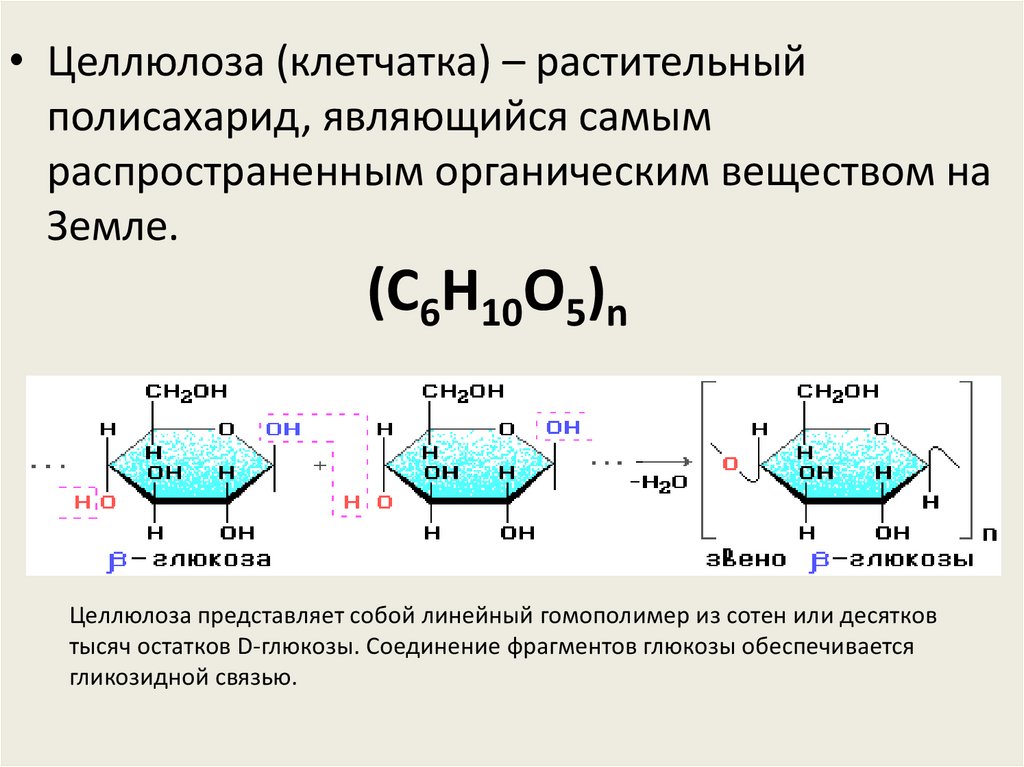 Целлюлоза это