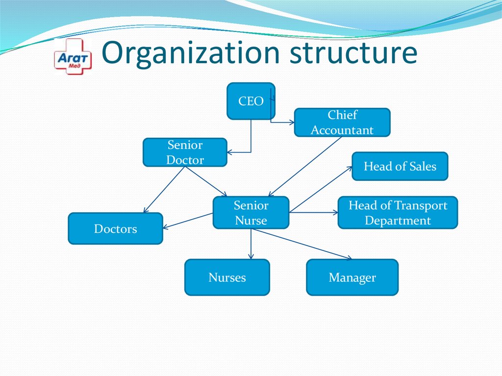 Organization слайд. Organizing and structuring. Head of sales Department. Head of Transportation Organization Department.