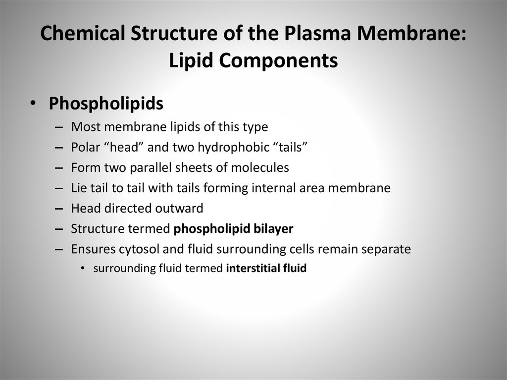 Chemical Structure of the Plasma Membrane: Lipid Components