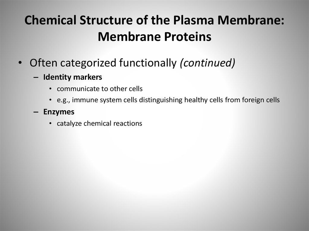 Chemical Structure of the Plasma Membrane: Membrane Proteins