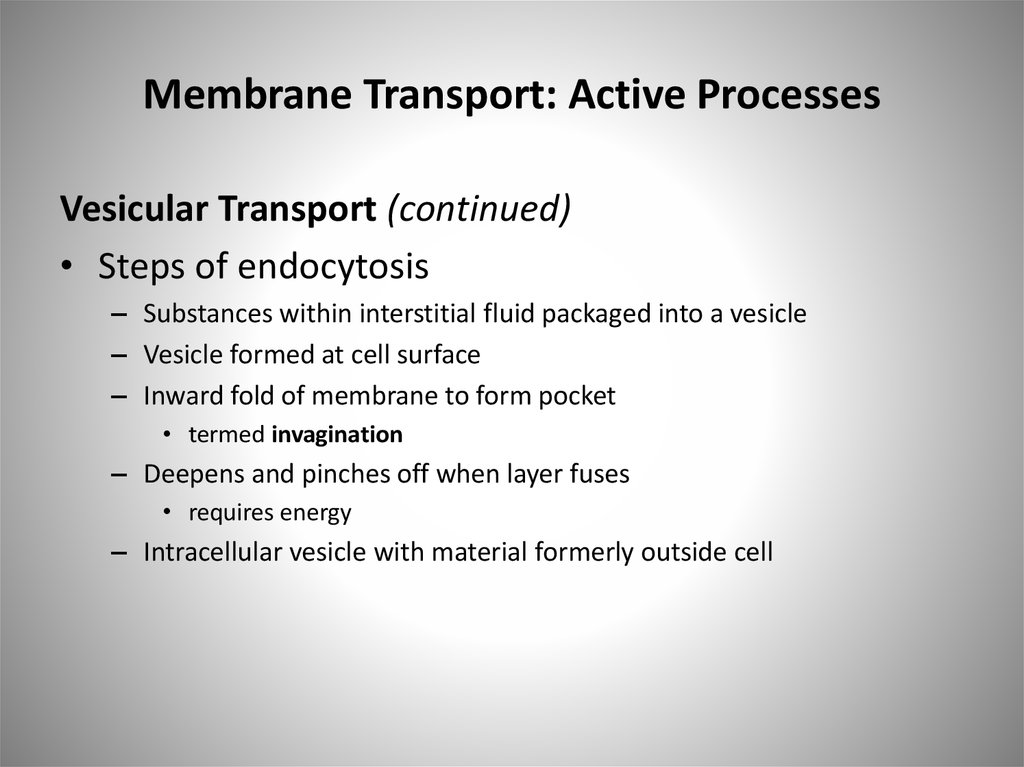 Membrane Transport: Active Processes