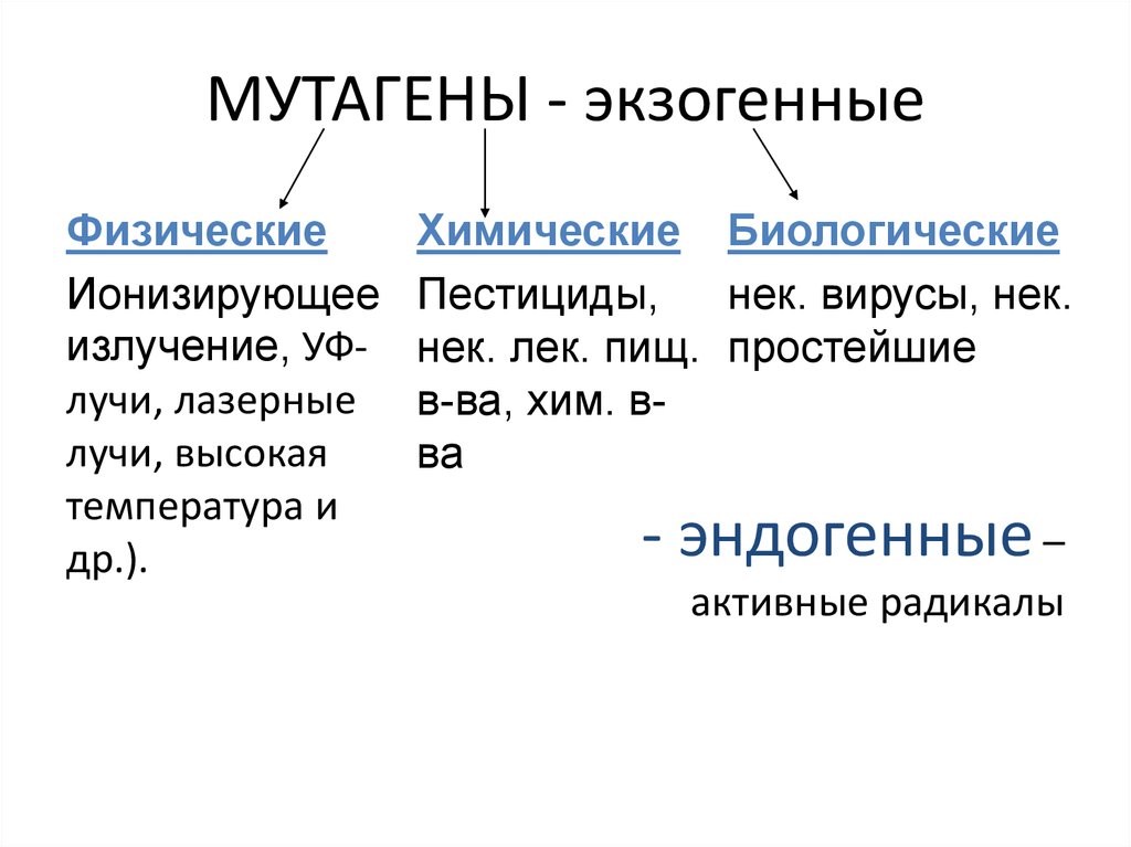 Мутагены картинки для презентации