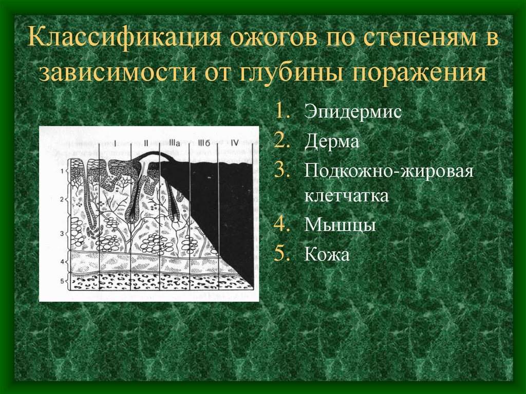 Классификация ожогов по степени. Классификация ожогов по глубине поражения. Градация ожогов по глубине поражения. Классификация отморожений по глубине поражения. Поражение глубинного