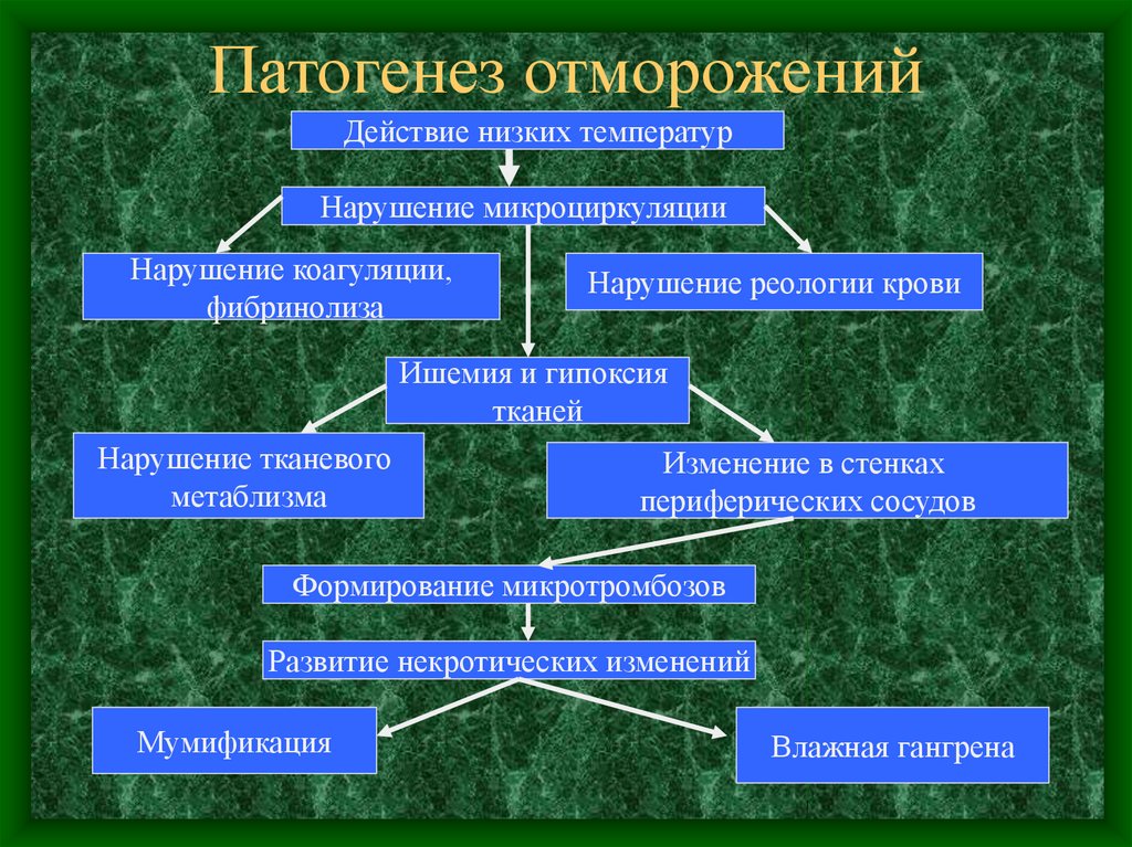 Патогенез отморожения схема