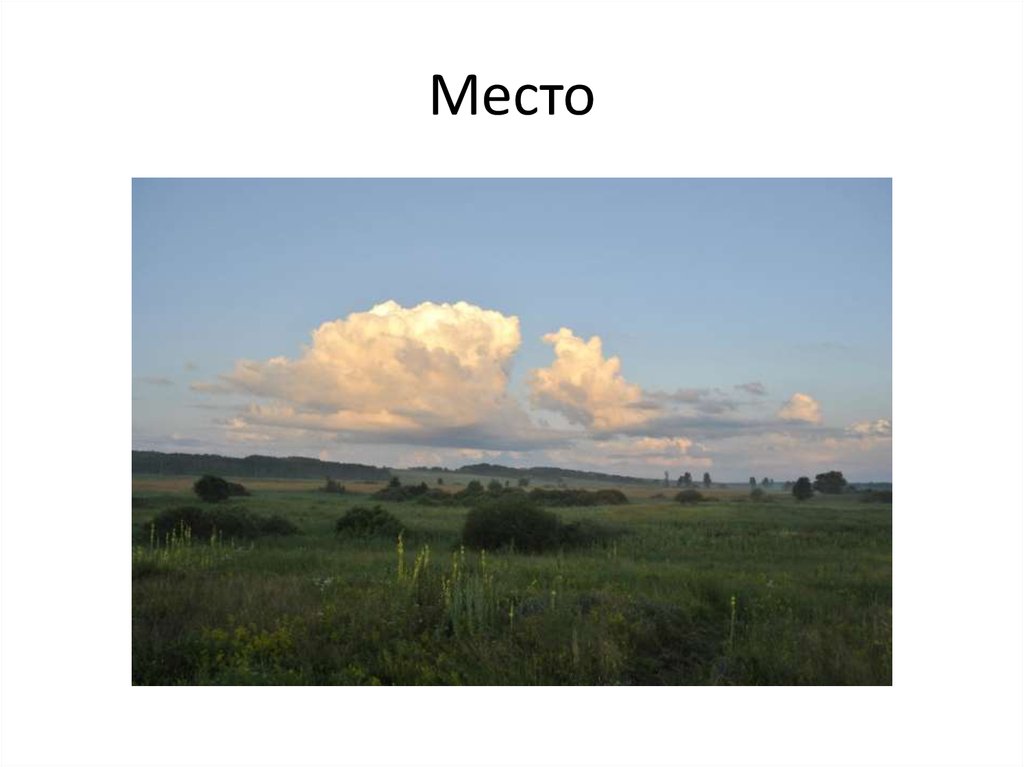Место