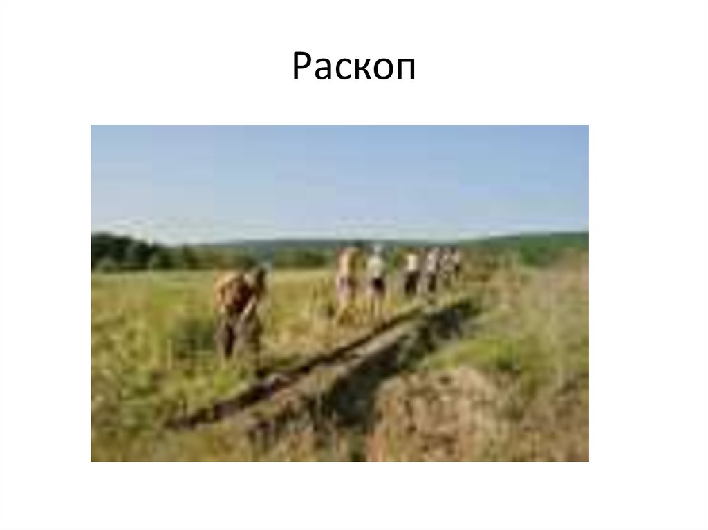 Раскоп