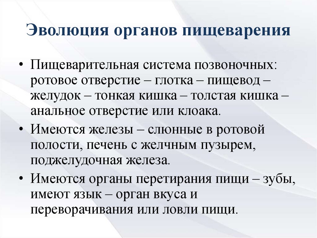 Развитие вещества. Эволюция пищеварительной системы позвоночных таблица. Эволюция пищеварения у позвоночных. Эволюционные преобразования пищеварительной системы. Таблица Эволюция органов пищеварения.