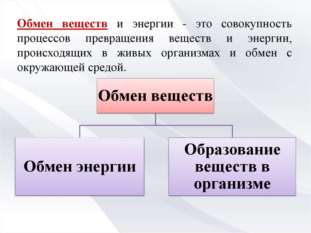 Обмен веществ и превращение энергии презентация