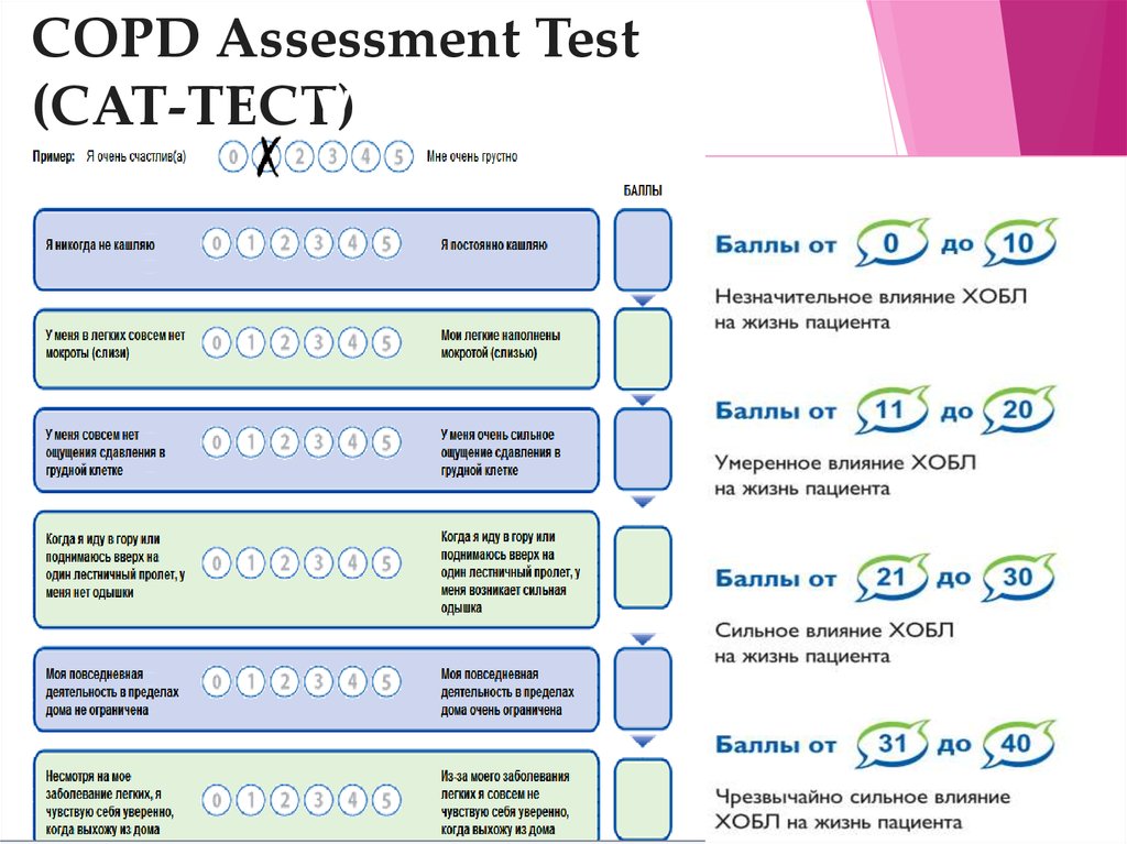 Тест тесть. Тесту Cat (COPD Assessment Test). Cat тест ХОБЛ. Оценочный тест по ХОБЛ − Cat (COPD Assessment Test).. Оценочный тест по ХОБЛ Cat.