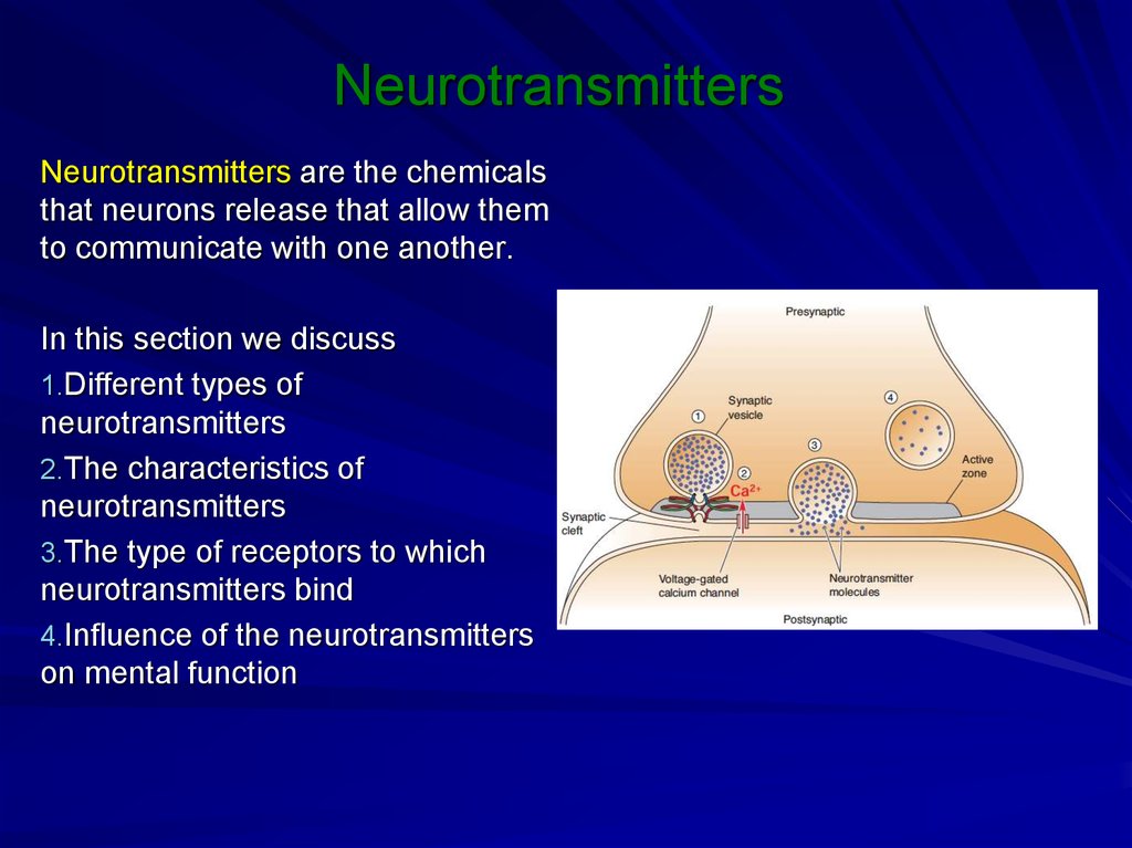 Neurotransmitters - online presentation