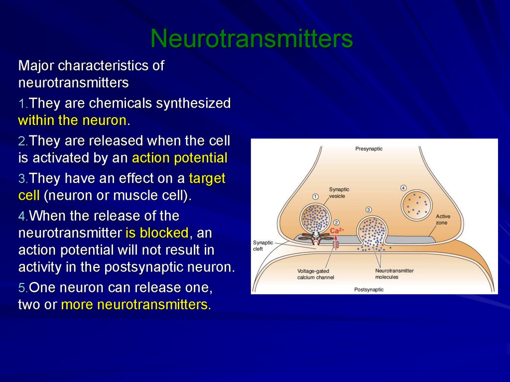 Neurotransmitters - online presentation