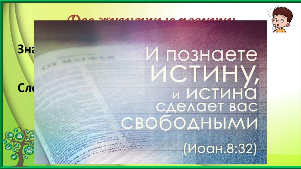 Две жизненные позиции