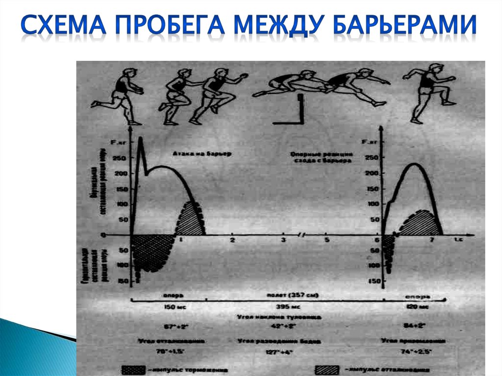 Высота барьеров в легкой атлетике. Назовите этапы преодоления барьера. Барьерный Тип границы. Барьерного бега расстояние между барьерами.