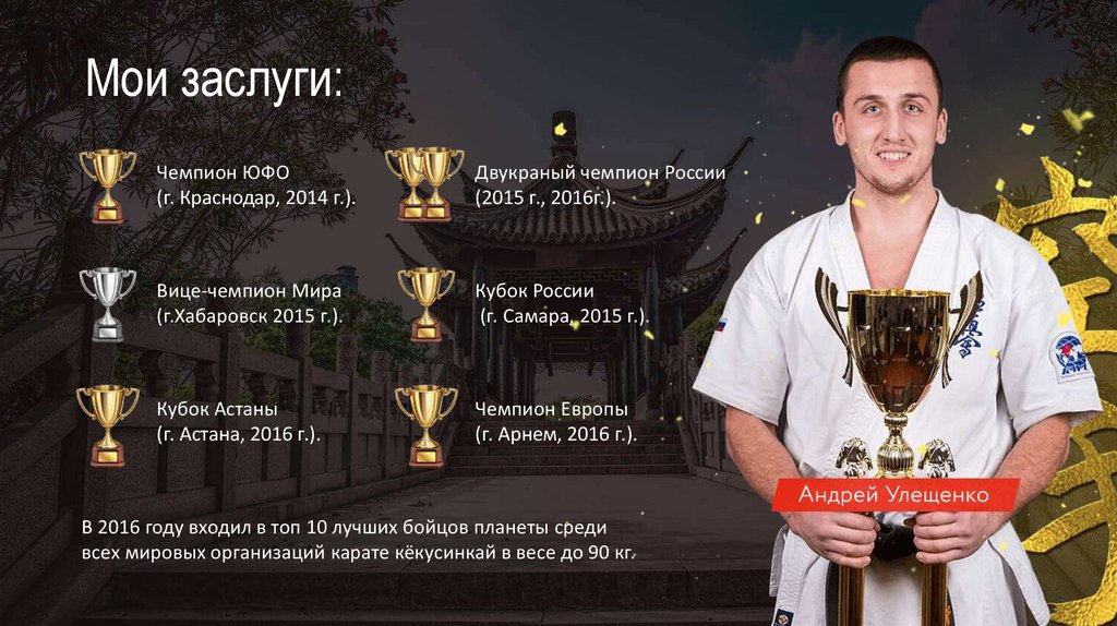 Мои заслуги: