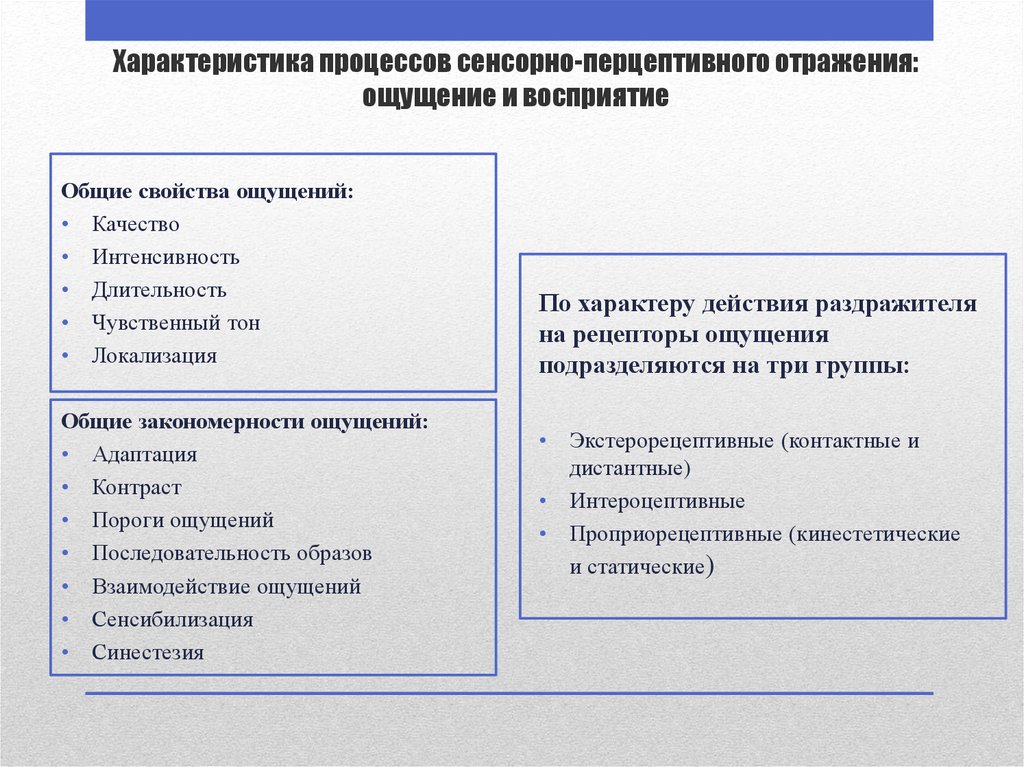 Понятие ощущение и восприятие