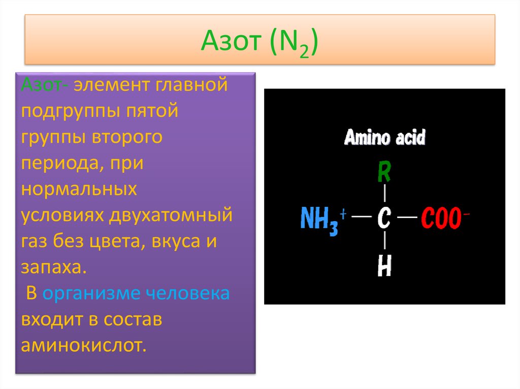Азот входит в группу. Азот основной компонент. Азот n элемент группы подгруппы. Азот в организме человека. Азот входит в главную подгруппу.