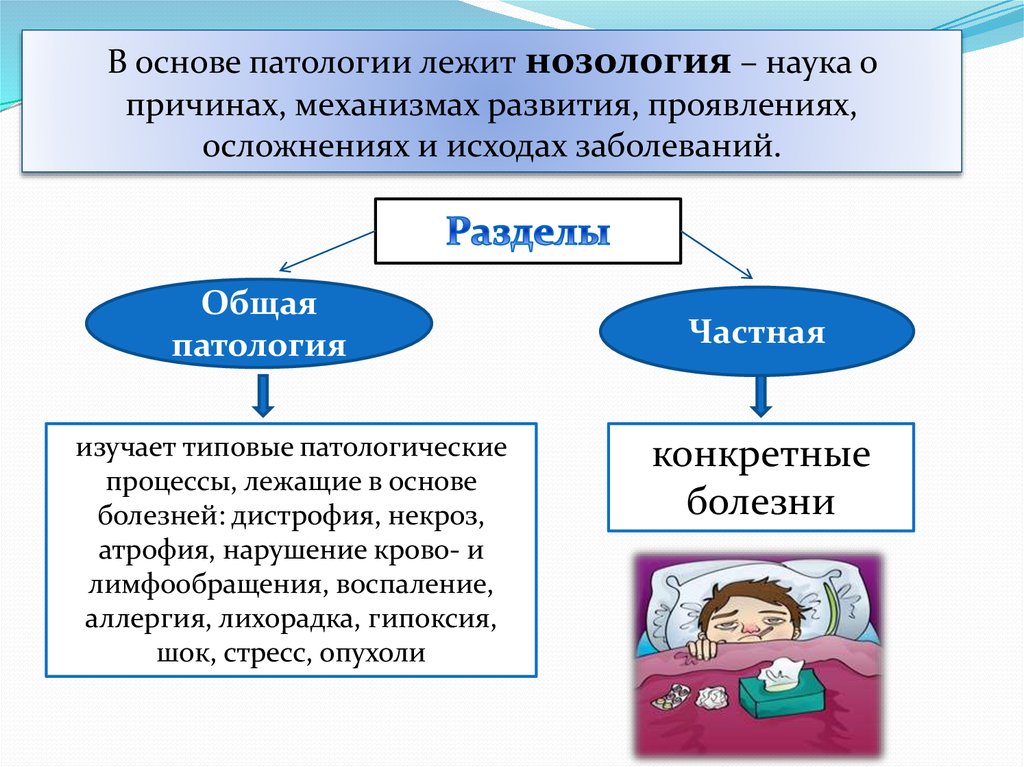 Шок презентация патология