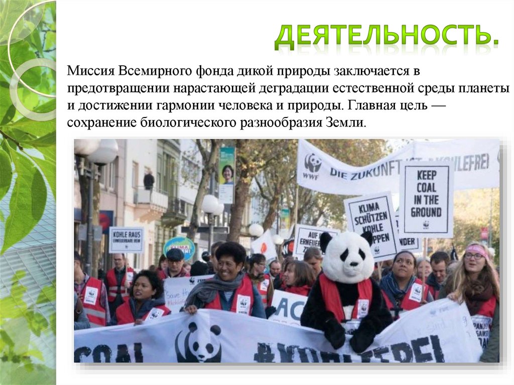 Wwf всемирный фонд дикой природы презентация