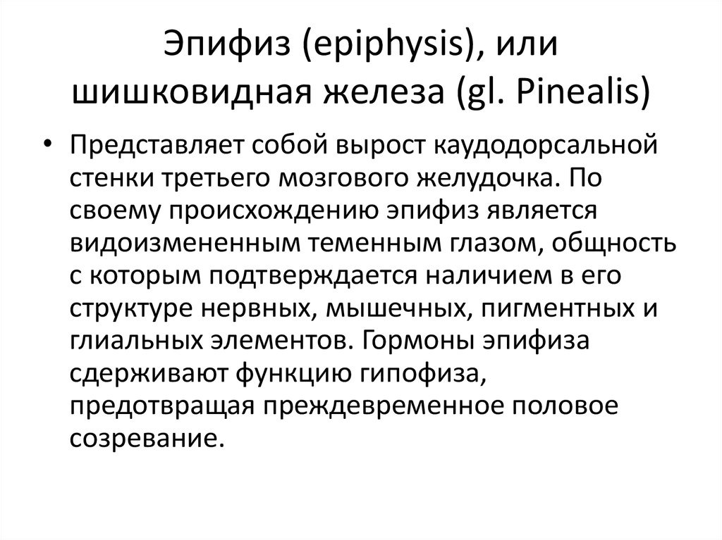 Нарушение эпифиза. Строение эпифиза кратко. Эпифиз функции. Эпифиз выполняет функцию:. Нарушение функции эпифиза.