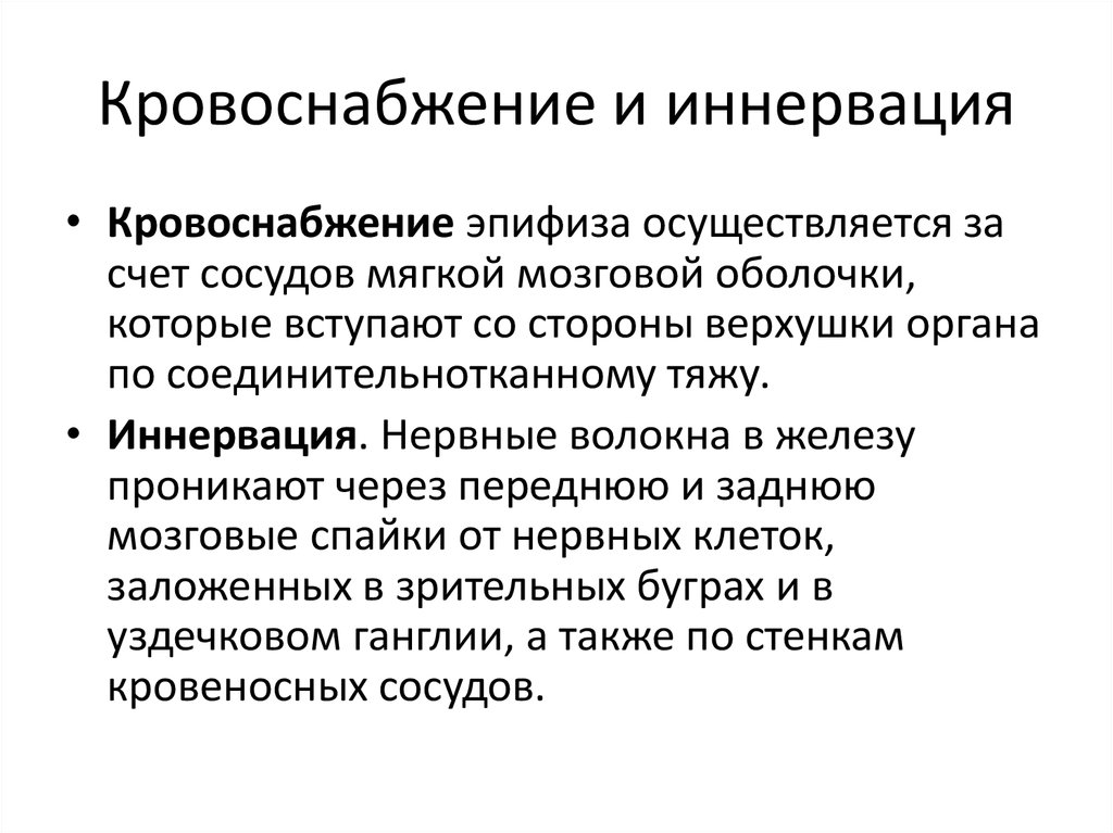 Кровоснабжение и иннервация. Эпифиз кровоснабжение иннервация. Иннервация эпифиза. Кровоснабжение эпифиза. Кровоснабжение и иннервация почек.