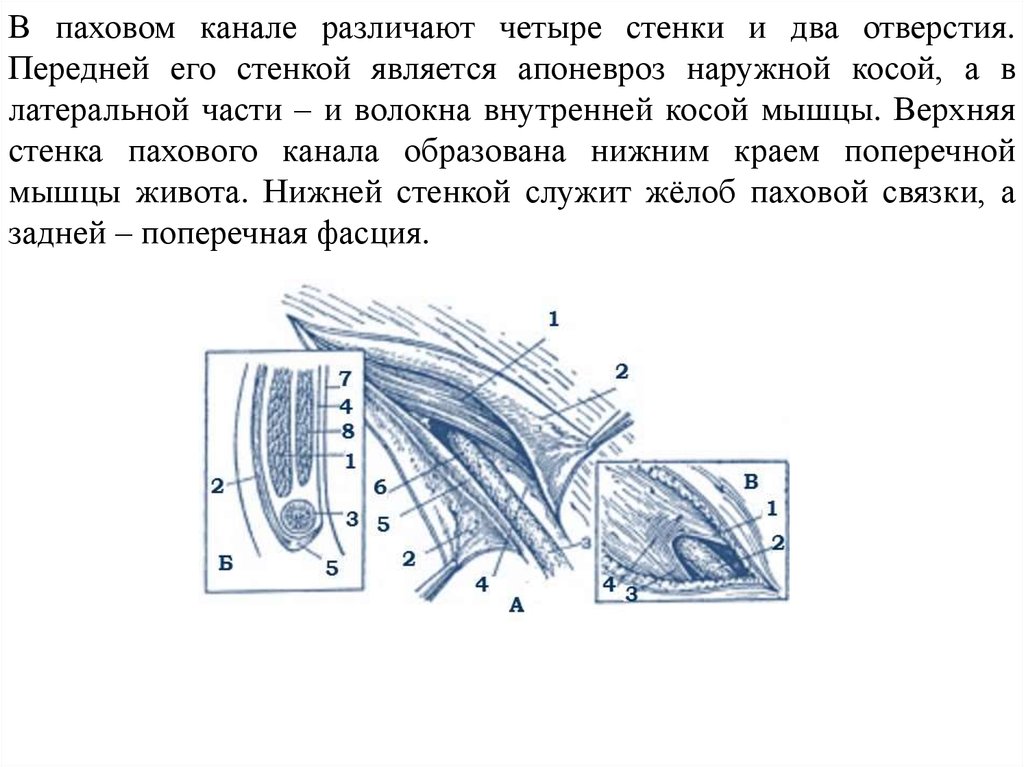 Грыжа брюшной стенки карта вызова