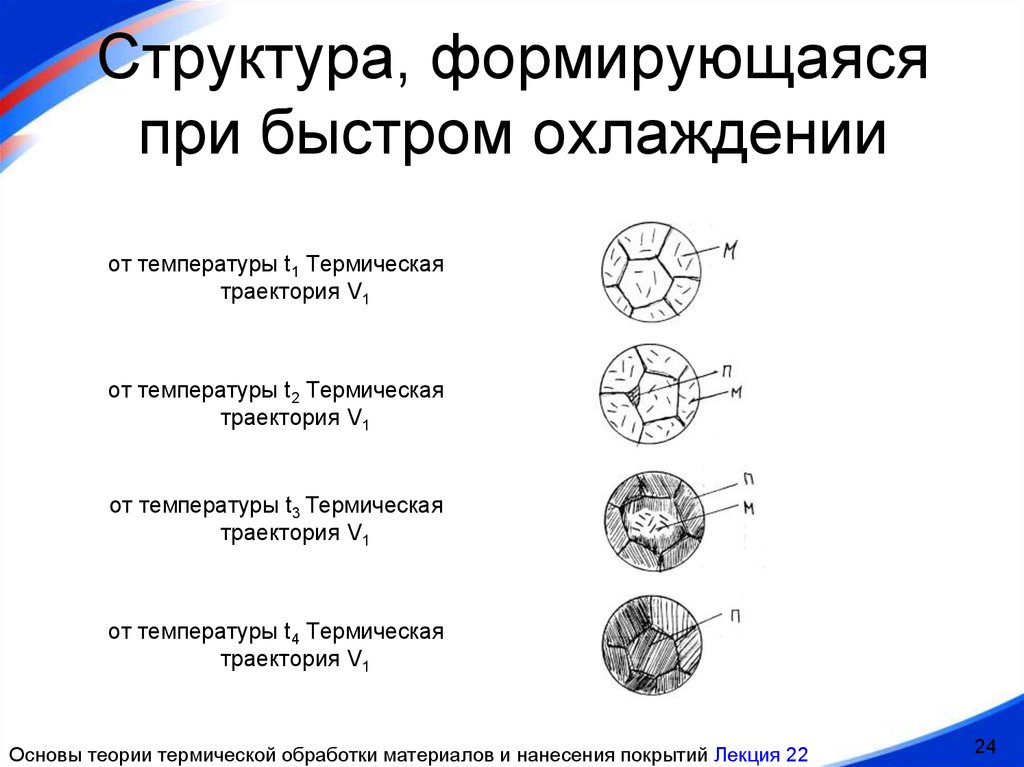 Структура сформировалась раньше остальных