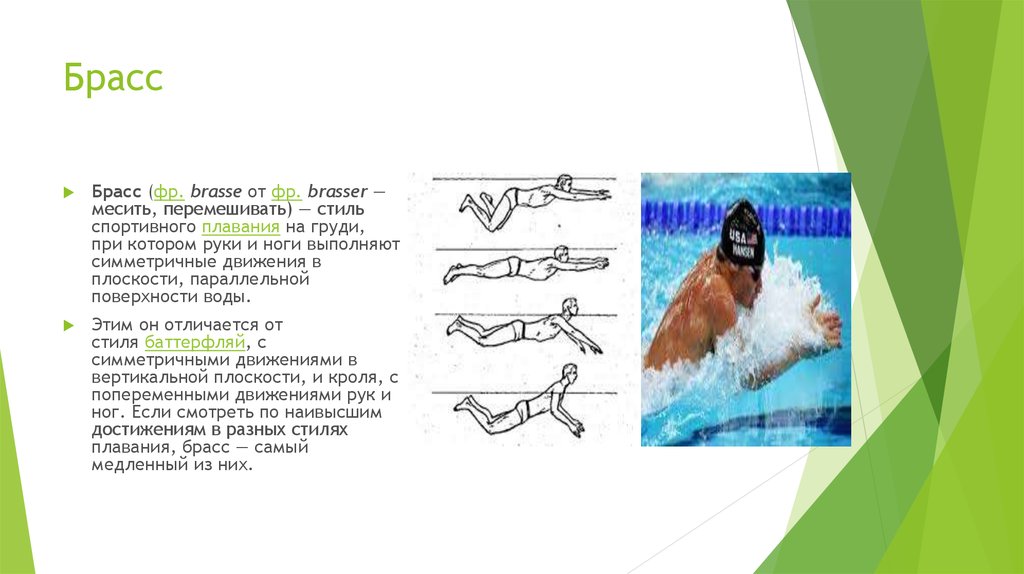 Купание сканворд. Стиль плавания брасс 4 класс. Движения ног в разных стилях плавания. Техника плавания брассом. Стиль спортивного плавания на груди при котором.