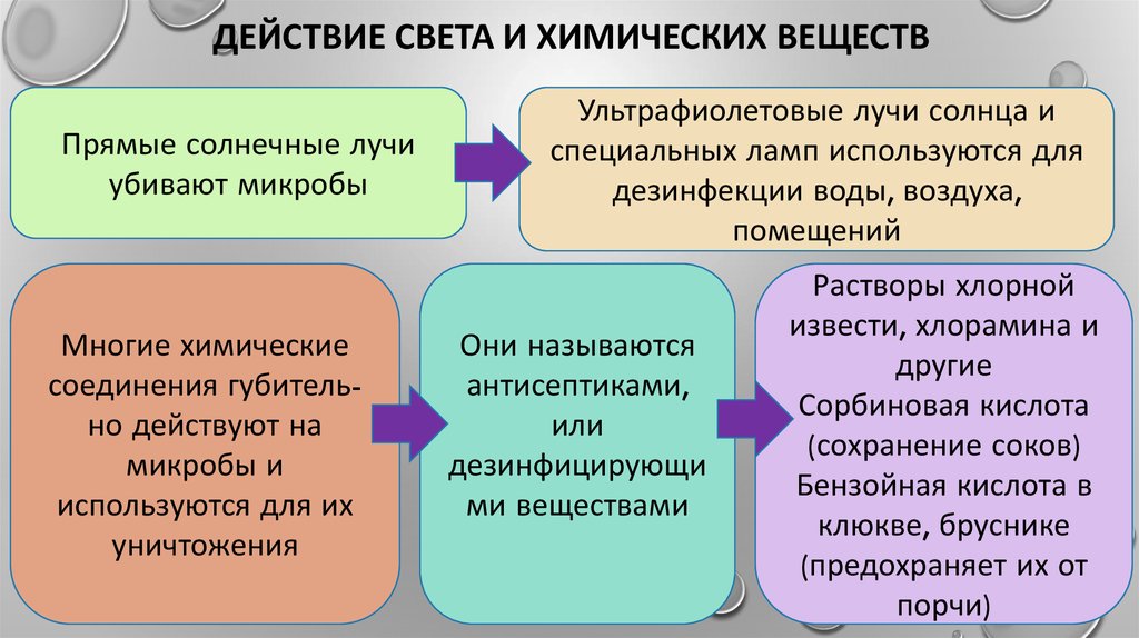 Действия света